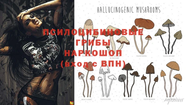 гидропоника Иннополис