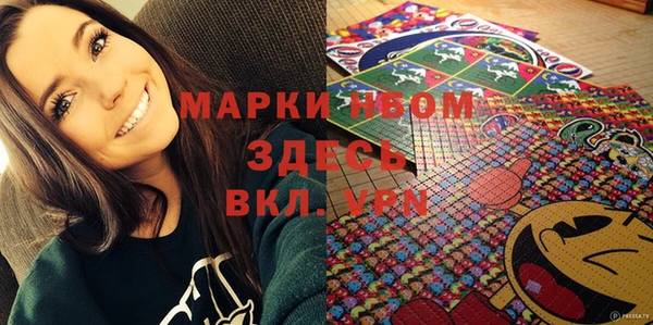 крисы Ельня