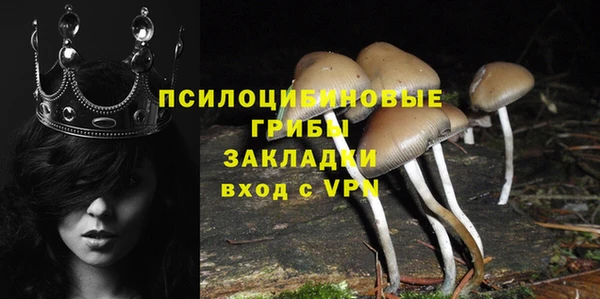 винт Абинск