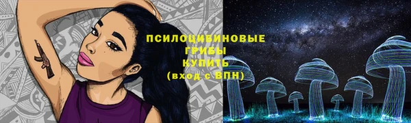 стаф Инта